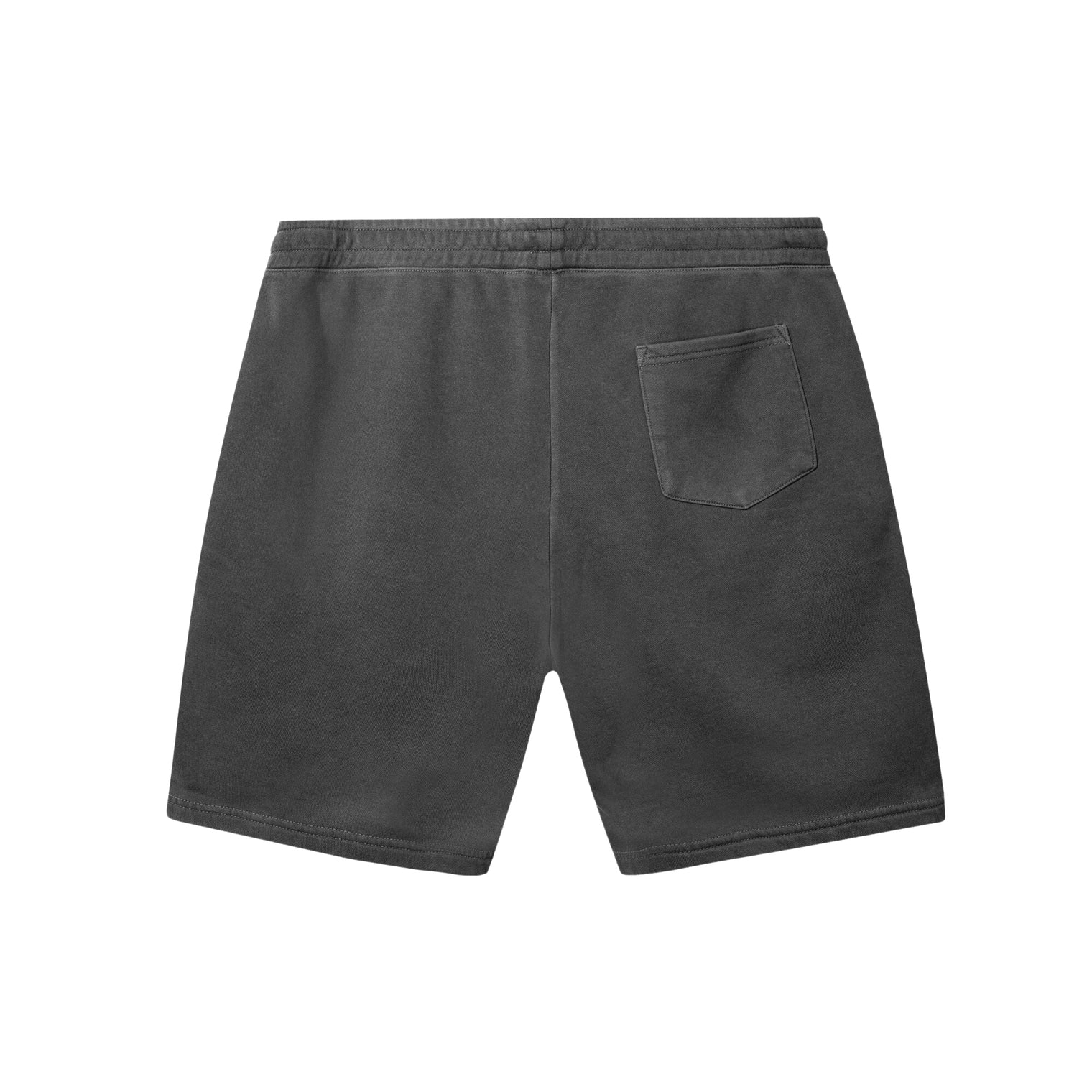Back view of OG Logo Charcoal Shorts in Alpine showing rear pocket and elastic waistband